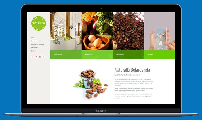 diseno-web-advance-para-pymes-y-autonomos página web advance