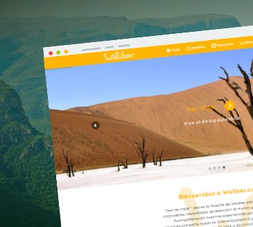 miniatura-diseno-web-basauri-bizkaia-weliber-es-imagen2